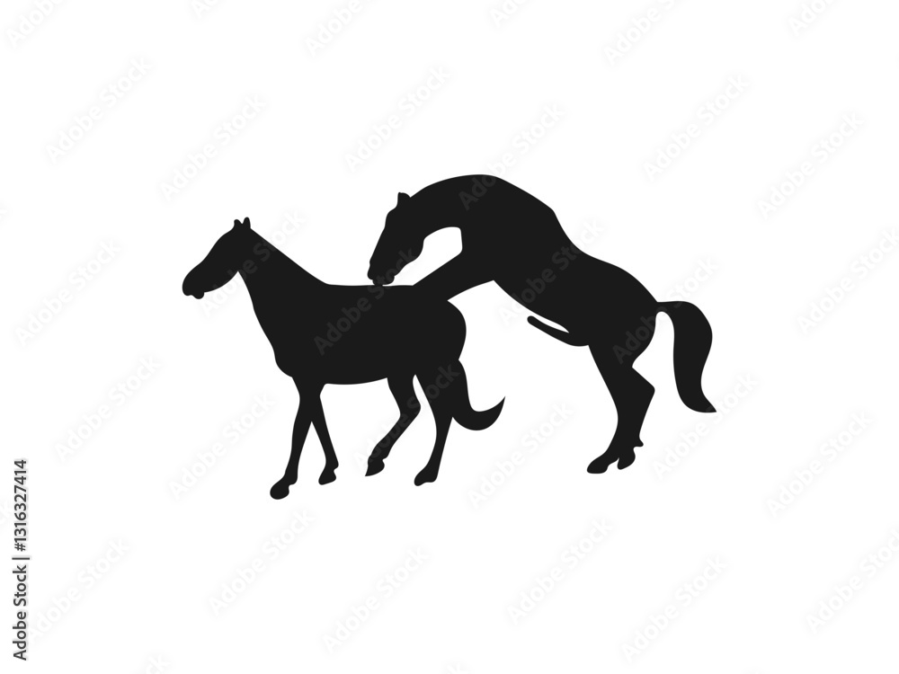 Horse mating silhouette Wildlife Silhouette. Animals in Mating Positions. Three simple black silhouettes of horses engaging in mating postures are vector on a white background. Horse mating silhouette Wildlife Silhouette. Animals in Mating Positions. Three simple black silhouettes of horses engaging in mating postures are vector on a white background.