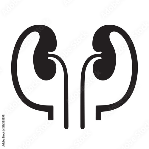 kidney vector