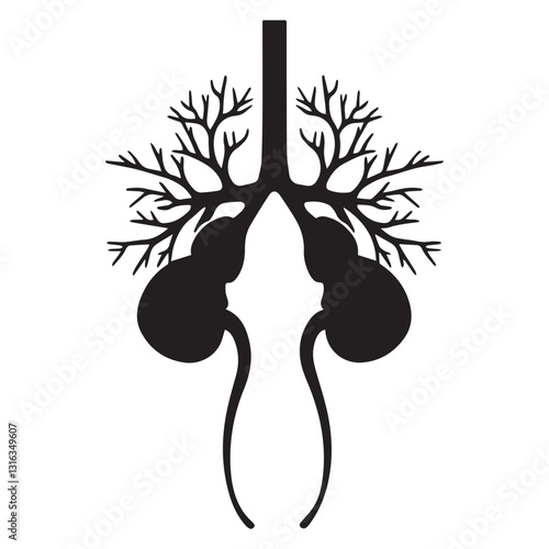 kidney vector