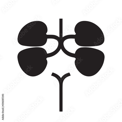 kidney vector