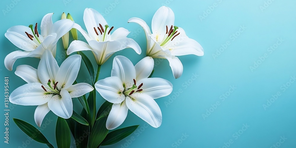 Obraz premium A serene arrangement of large white lilies on a pastel background, ideal for floral-themed designs for events like Mother's Day, Easter, or weddings.