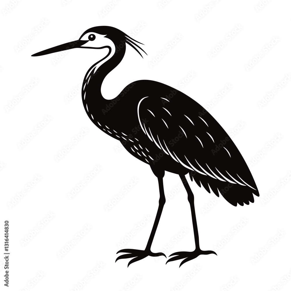 Obraz premium black crowned crane vector illustration 
