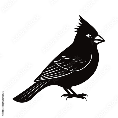vector illustration of a common bird.