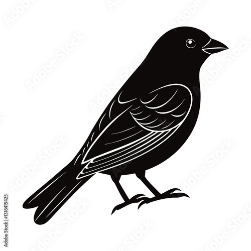 vector illustration of a cute bird