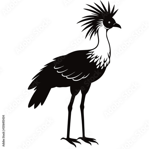 vector illustration of a secretary  bird