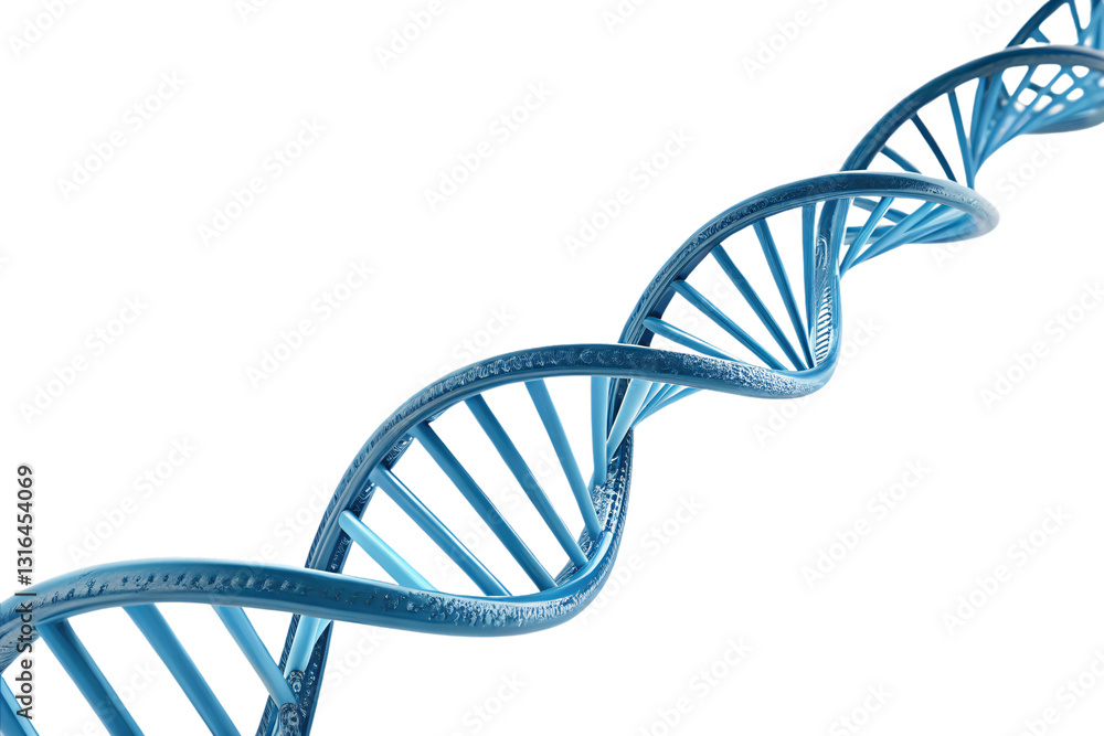 Glowing DNA Helix – A luminous blue double helix spirals, representing genetics, biotechnology, and the mysteries of life’s molecular foundation, isolated on a transparent background
