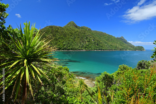 Tableau sur toile picturesque  smuggler's bay beach and a cabbage tree  from an overlook on busby