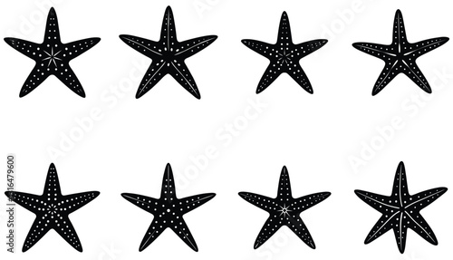 Starfish Vector Shilhouette Bundle Set Icon.