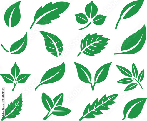 Leaf icons set isolated on white background. Leaf logotype. Vector
