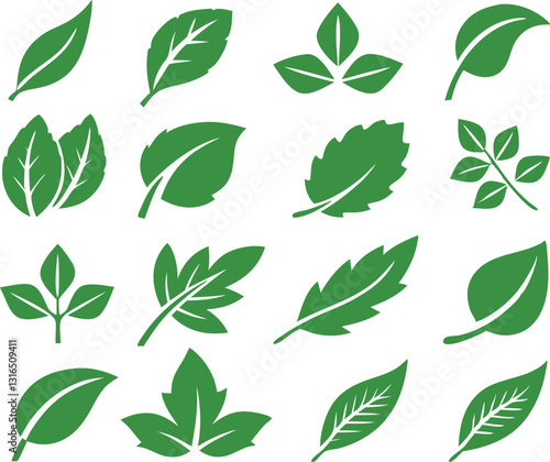 Leaf icons set isolated on white background. Leaf logotype. Vector