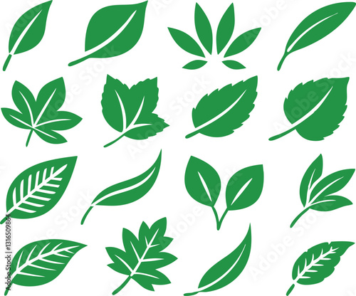 Leaf icons set isolated on white background. Leaf logotype. Vector