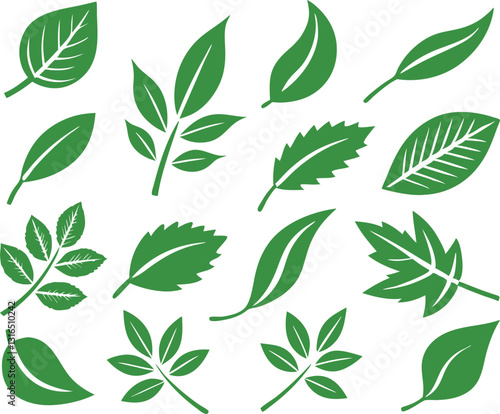 Leaf icons set isolated on white background. Leaf logotype. Vector