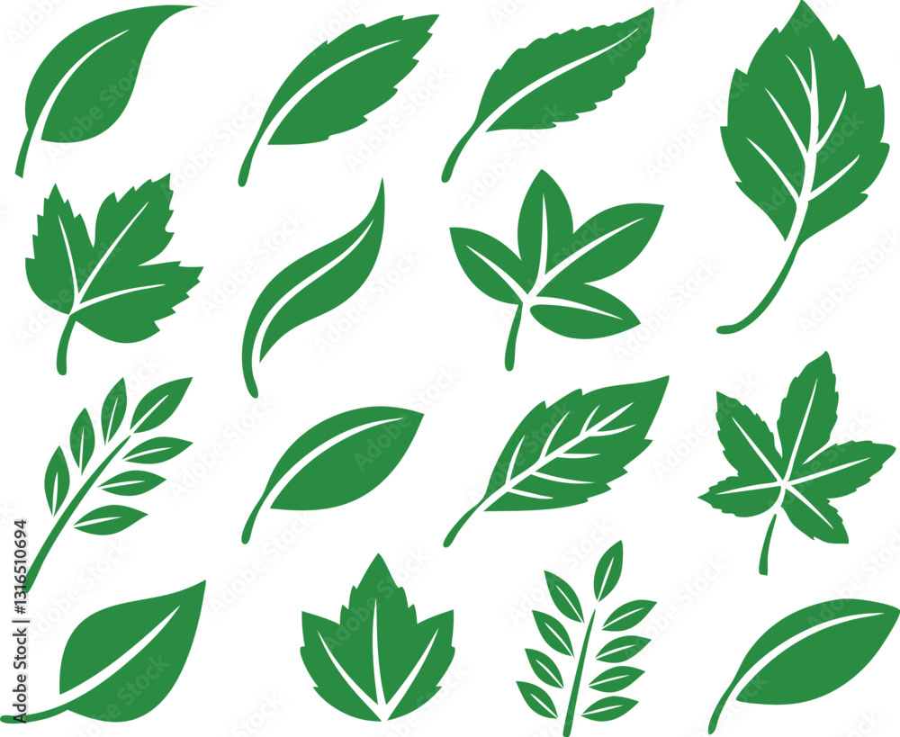 Leaf icons set isolated on white background. Leaf logotype. Vector Leaf icons set isolated on white background. Leaf logotype. Vector