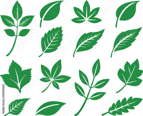 Leaf icons set isolated on white background. Leaf logotype. Vector