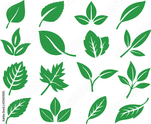 Leaf icons set isolated on white background. Leaf logotype. Vector