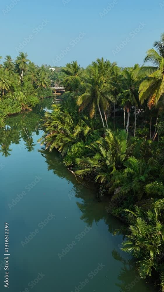 Explore a vibrant tropical paradise in Chumphon Thailand where a tranquil river glides through dense greenery. Lush palm trees line the banks, creating a peaceful and inviting atmosphere. Explore a vibrant tropical paradise in Chumphon Thailand where a tranquil river glides through dense greenery. Lush palm trees line the banks, creating a peaceful and inviting atmosphere.