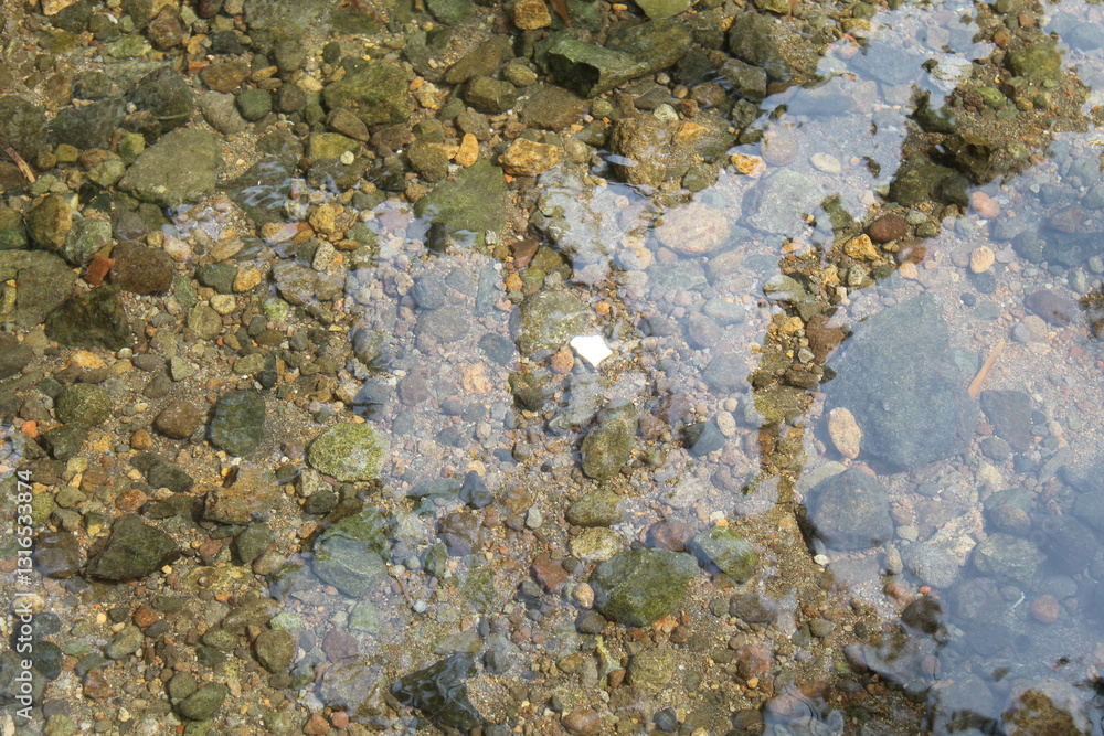 Clear water flow over rocky bottom river Clear water flow over rocky bottom river