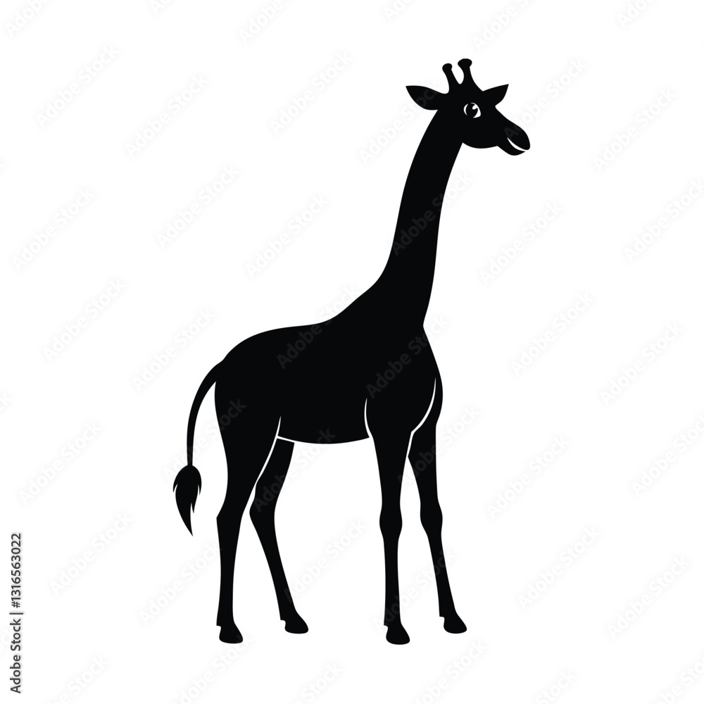 Fototapeta premium giraffe isolated on white background