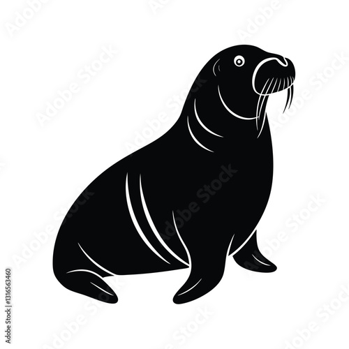 sea lion vector illustration