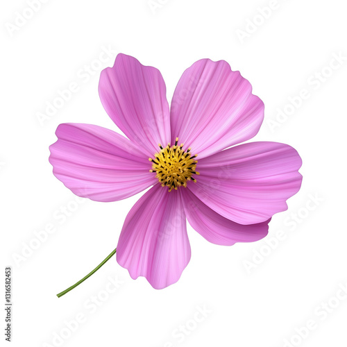 Cosmos Flower: A vibrant pink cosmos flower with delicate petals and a yellow center, showcasing the beauty of nature in full bloom.
