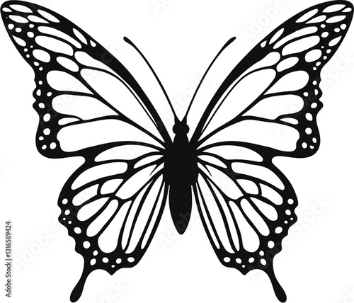 black and white butterfly