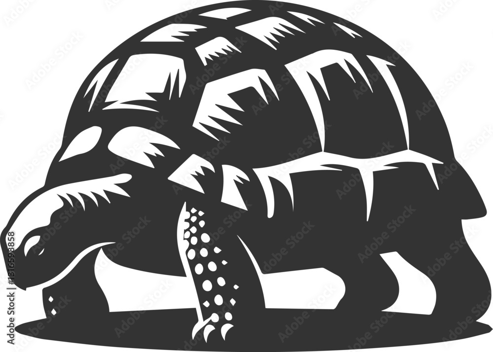 Fototapeta premium Tortoise with its head down as if searching for food vector silhouette