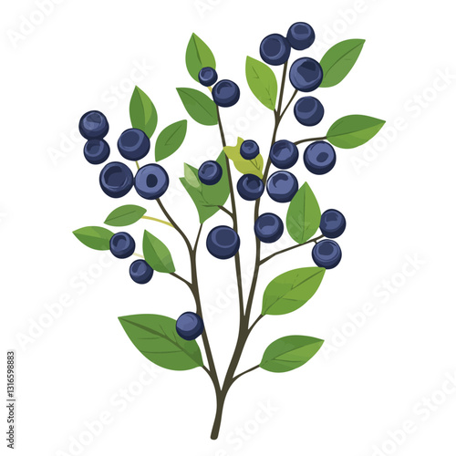 2D flat vector illustration blueberry plant branches icon isolated on a white background.

