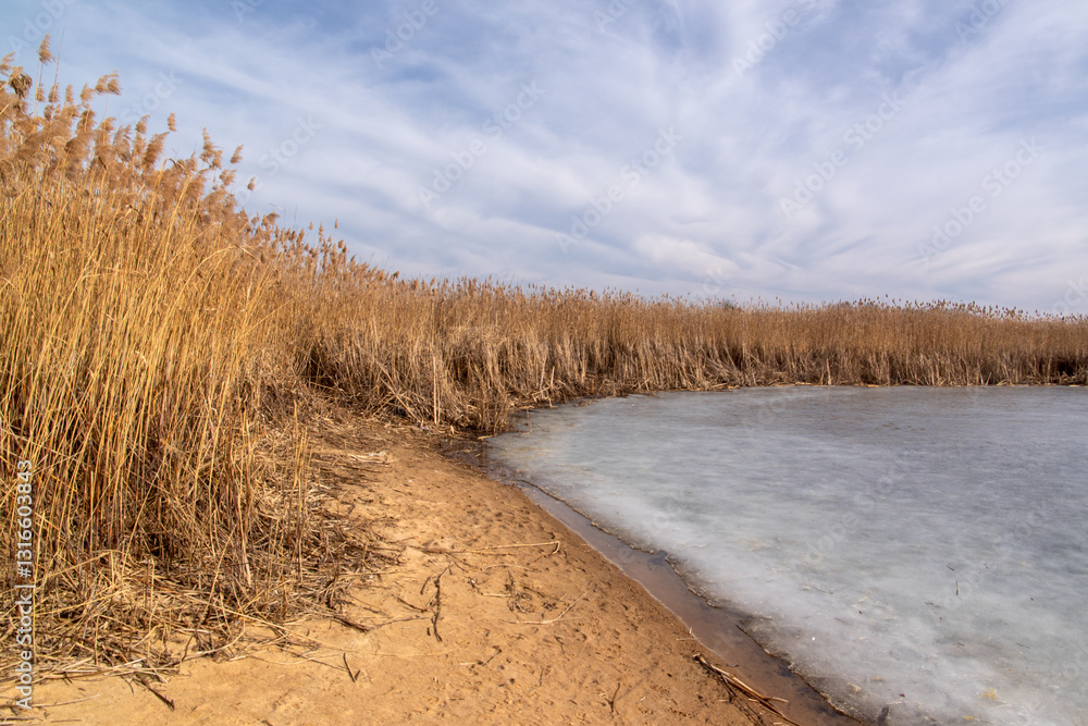 Przedwiośnie nad Zalewem Siemianówka, Podlasie, Polska
