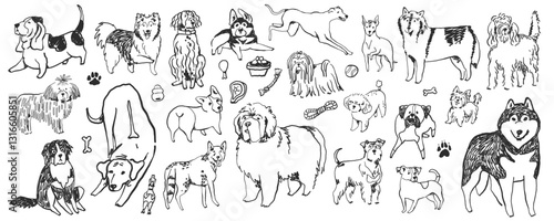 Hand-drawn doodle dog breeds set, whimsical ink sketched illustrations