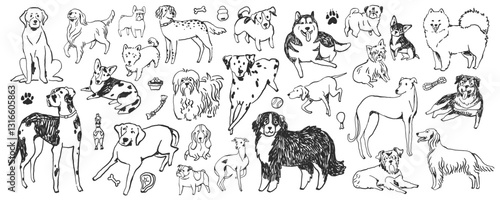 Hand-drawn doodle dog breeds set, whimsical ink sketched illustrations