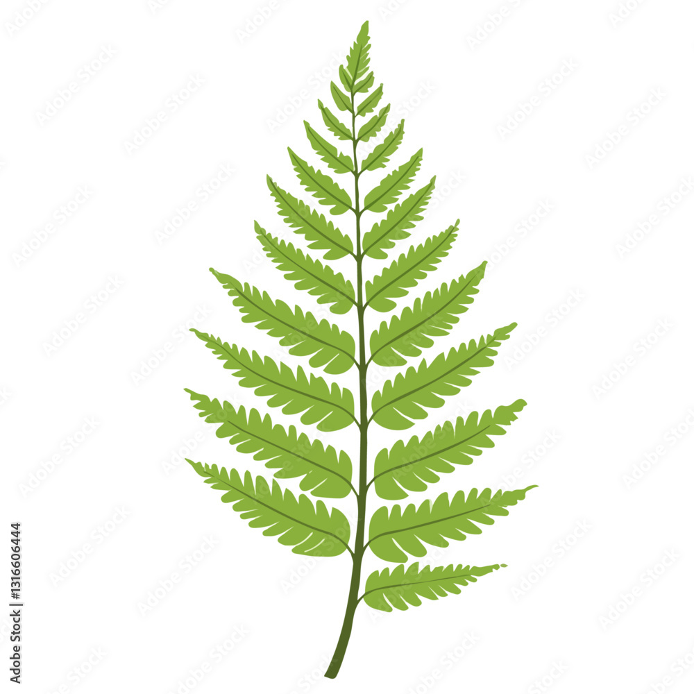 2D flat vector illustration Fern icon isolated on a white background.
2D flat vector illustration Fern icon isolated on a white background.