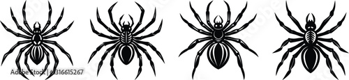 Spider Silhouette Vector – Creepy and Detailed Arachnid Illustration