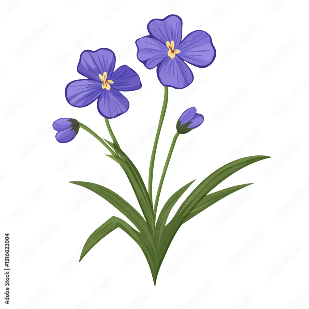 2D flat vector illustration Spiderwort icon isolated on a white background.
2D flat vector illustration Spiderwort icon isolated on a white background.