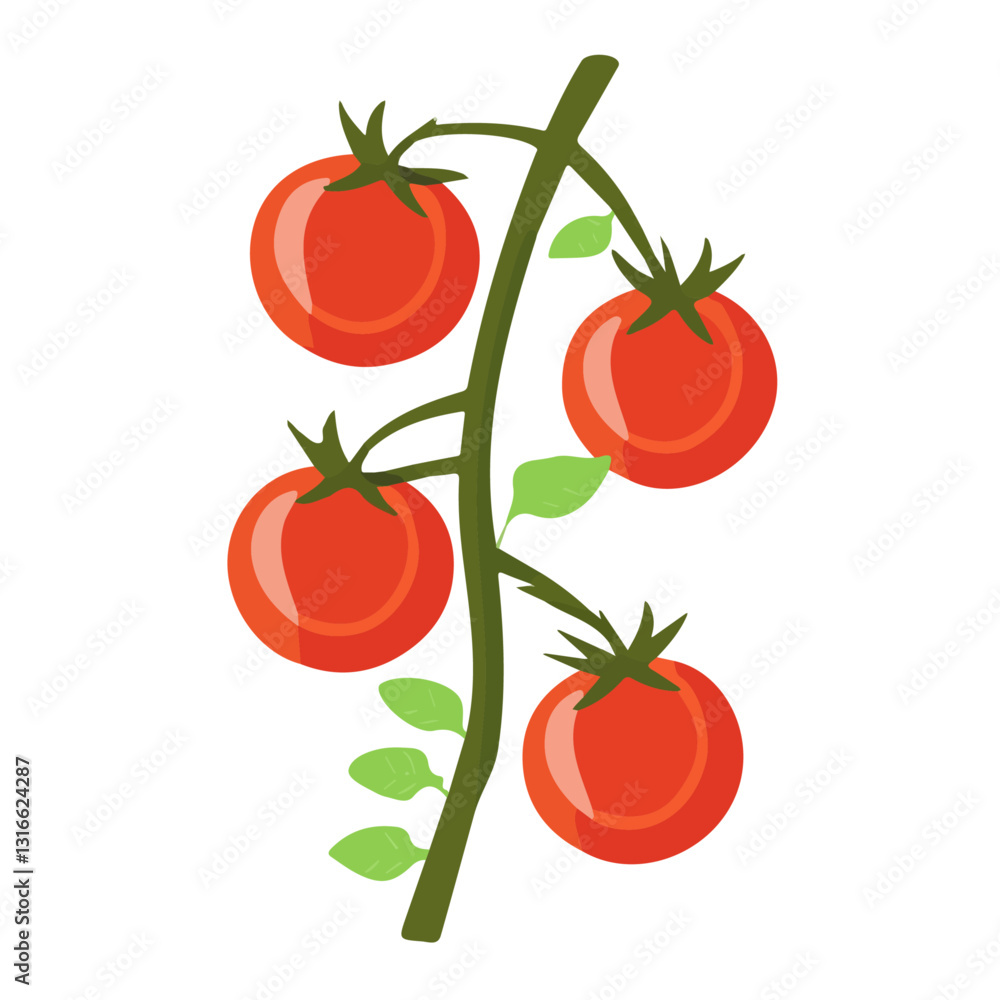 2D flat vector illustration Tomato Vine icon isolated on a white background.
2D flat vector illustration Tomato Vine icon isolated on a white background.