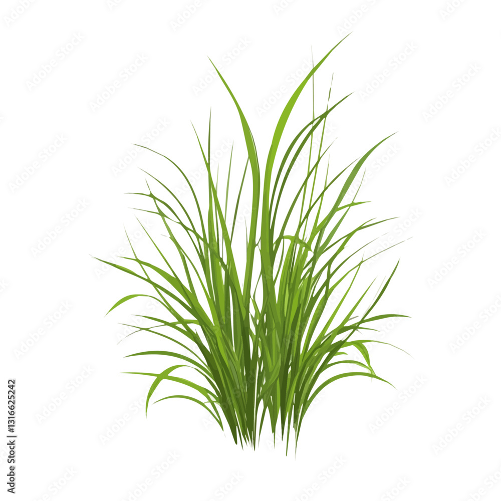 2D flat vector illustration Vetiver icon isolated on a white background.
2D flat vector illustration Vetiver icon isolated on a white background.