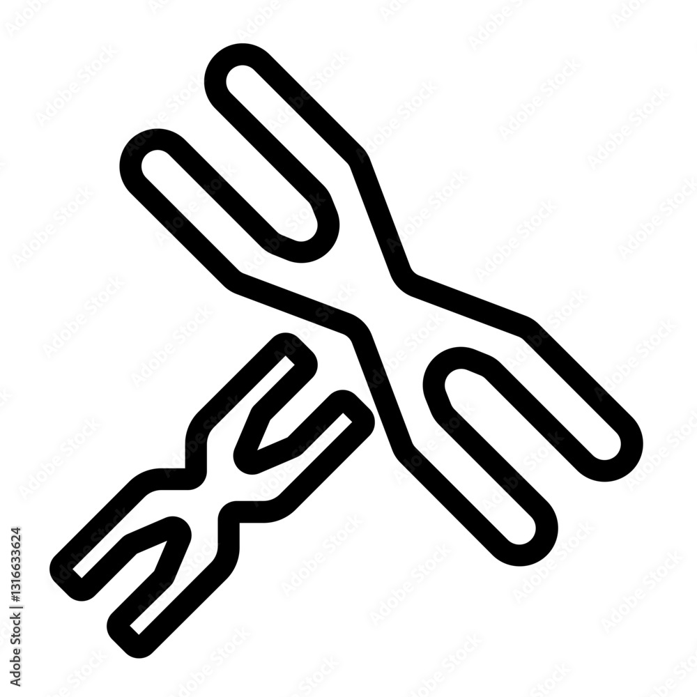 Fototapeta premium chromosome