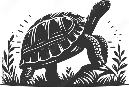 Tortoise standing on a rock, gazing into the distance vector silhouette