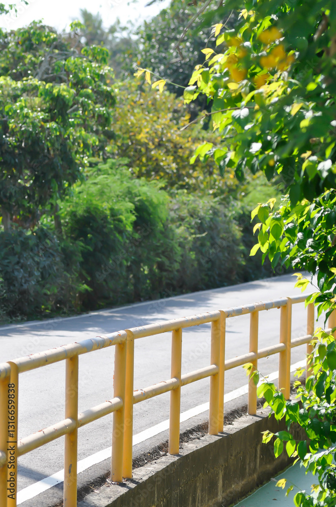 canal, road or street and tree