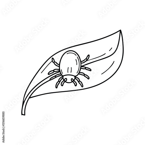 A tiny mite crawling on a leaf, its legs gripping the surface