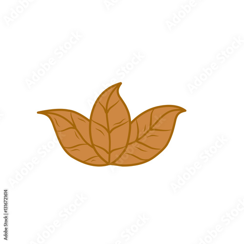 tobacco leaf vector