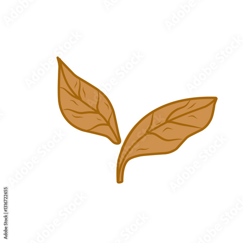 tobacco leaf vector