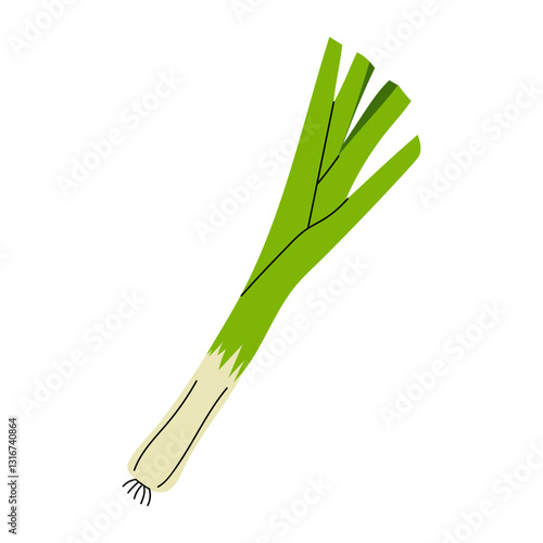 Fresh green onion with long stalks ready for culinary use in various dishes and recipes
