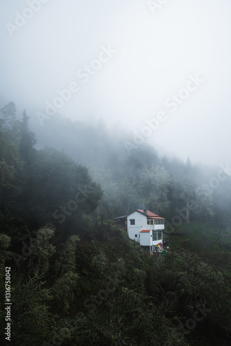 Dreamy house in the forest full of fog in Madeira island.