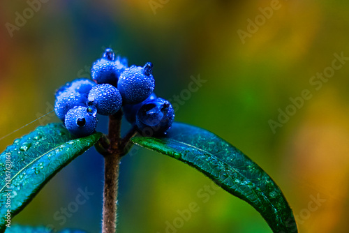 Wilde Beeren im Herbst