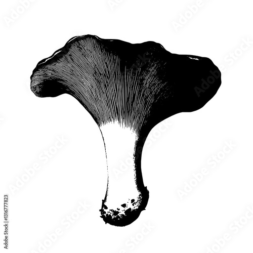 Discover the intricate beauty of a vintage mushroom illustration showcasing nature's elegance and detail in black and white