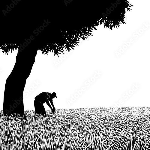 Gardener tending to a lush grass field beneath a grand tree in a tranquil setting