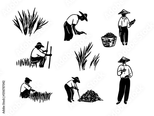 Harvesting time captures the dedication of workers amidst nature, showcasing traditional farming activities and community