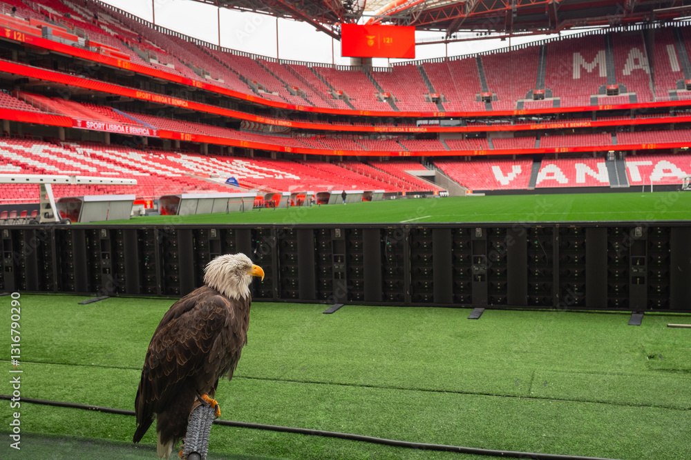 Fototapeta premium Estadio da Luz Stadium before UEFA Champions League match Benfica vs Barcelona. SL Benfica Stadium Lisboa, Portugal, 02.03.2025