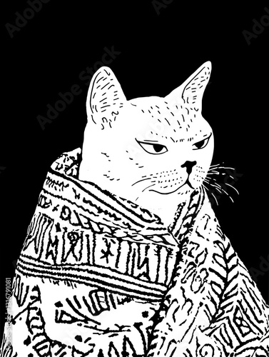 Charming cat wrapped in an intricate blanket showcasing its aloof expression against a dark background