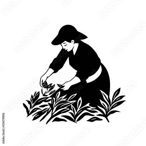 Elegant woman harvesting leaves in a field during a bright sunny day depicting horticultural beauty and artisanal craft